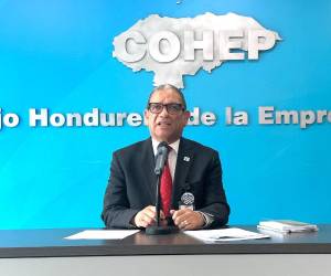 El director ejecutivo del Cohep dijo que el mensaje de la OEA va dirigido a todos los hondureños, para que se vele por el cumplimiento de que cada voto cuente el 30 de noviembre.