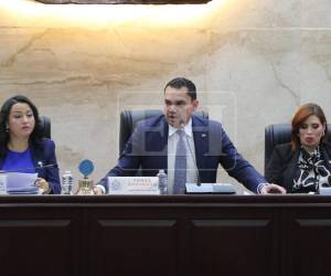 La temporalidad de dos meses fijada en el dictamen responde a una exigencia política directa de la bancada del Partido Libertad y Refundación (Libre).