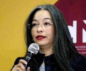 La abogada consideró que las instituciones competentes deben revisar la información disponible y determinar la legalidad de la permanencia de trabajadores extranjeros.