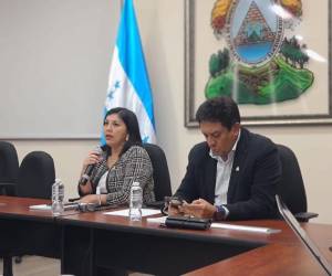 Silvia Ayala y Ramón Enrique Barrios integran la comisión que reúne información para