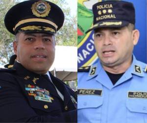 El ministro enfatizó que el nombramiento es temporal por lo que será el presidente de la República, Nasry Juan Asfura, el que hará el nombramiento definitivo