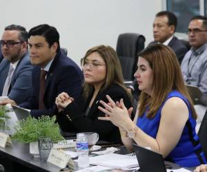 Los consejeros del CNE dieron a conocer sus posturas sobre la resolución del TJE en el caso de la inscripción de Jorge Cálix.