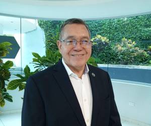 El general en condición de retiro y exjefe de las Fuerzas Armadas de Honduras, Isaías Barahona Herrera, considera que todavía no resulta una estrategia que contenga la intención de delitos.