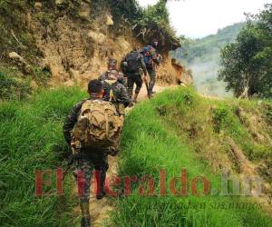La Fuerza de Tarea Interinstitucional Ambiental, liderada por el Ejército, Fiscalía del Ambiente e ICF, ya realiza labores arduas en la inmensa montaña, pero urgen del apoyo y refuerzo de un Batallón Verde que abarque las zonas más afectadas.