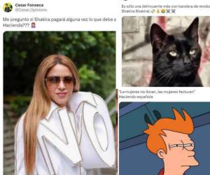 La Fiscalía de Delitos Económicos de Barcelona aseguró que Shakira “desea tributar lo menos posible” y la acusó de defraudar seis millones de euros en 2018. Estas acciones causaron una gran ola de memes en las redes sociales.