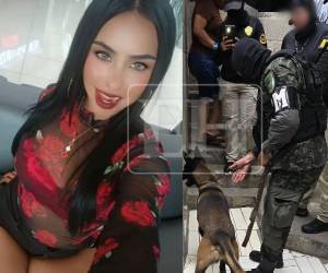 La Fiscalía Especial de Delitos Contra la Vida (FEDCV), en coordinación con la Agencia Técnica de Investigación Criminal (ATIC) y la Policía Militar del Orden Público (PMOP), ejecutó un allanamiento en la colonia Cantarero López, domicilio de Angie Galeas, encontrada sin vida en la colonia 14 de Enero de Comayaguela.