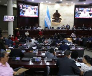 Diputados de Libre condenaron las últimas acciones tomadas por Israel en su conflicto con Palestina e Irán.