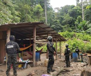 Miembros del ejército llevaron a cabo la operación en el departamento de Colón.