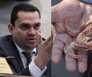 A criterio del jefe de bancada del Partido Nacional, Tomás Zambrano, desde el gobierno se debió garantizar la exportación de camarones ante el cierre de los mercados de México y Taiwán