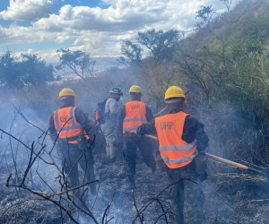Luchan para sofocar incendio forestal en salida al sur de la capital
