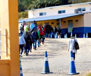 El equipo de Investigación de EL HERALDO Plus se infiltró para destapar las redes que trafican con licencias en tránsito.