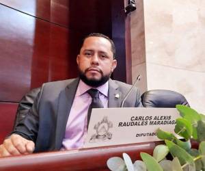 Carlos Raudales, diputado del Congreso Nacional y miembro de la Comisión Permanente.