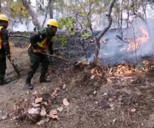 El fuego continúa consumiendo la zona verde del Cerro Capire que pese a la intensa labor de brigadista y voluntarios y además de una leve brisa, no ha sido controlado en su totalidad.