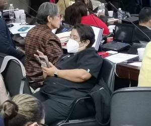 Esta es la foto que circula de Suyapa Figueroa dando la espalda a la Junta Directiva del Congreso Nacional.