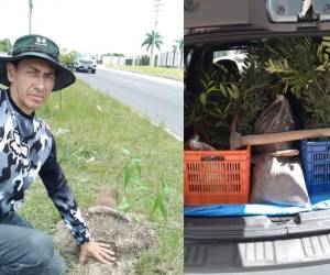Con la intención de incrementar las áreas verdes en la capital, el hondureño Javier Rivera inició su propio proyecto de reforestación en las calles de la capital con la ayuda de otros ciudadanos. Aquí te contamos su historia.