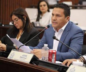 Carlentón Dávila, diputado del partido Pinu durante la sesión en el Congreso Nacional.