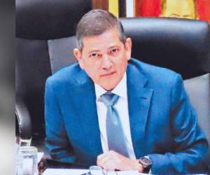 Vallecillo ha estado en medio de la polémica por su designación.