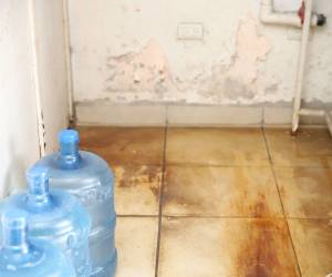 El personal del Arsa encontró varios espacios del establecimiento que presentaban condiciones insalubres.