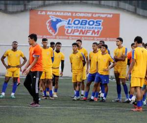 Los Lobos de UPNFM se encuentran casi sentenciados en el puesto de descenso.