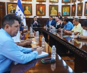 Productores de palma expusieron al Congreso Nacional las principales dificultades que enfrenta el sector.