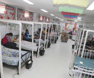 Unos 30 menores de edad se encuentran hospitalizados en el materno infantil por síntomas de dengue, de acuerdo a autoridades del Hospital Escuela.