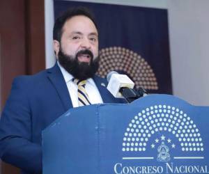 Luis Redondo, presidente del Congreso Nacional.