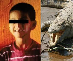 Una tragedia ha conmocionado a la comunidad de Halamadi, en el distrito de Uttara Kannada, India, luego de que un niño de seis años perdiera la vida al ser arrojado al río Kali, infestado de cocodrilos, por su propia madre en medio de una acalorada disputa con su esposo.