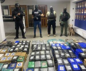 La droga encontrada estaba en 24 maletines.