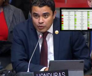 El vicecanciller de política exterior de Honduras, Gerardo Torres Zelaya, representó a Honduras en este evento.