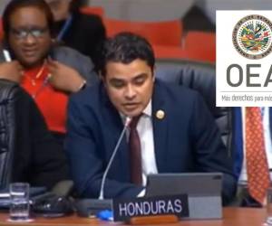 Gerardo Torres Zelaya, vicecanciller de política exterior.