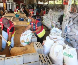 Los preparativos para las coloridas alfombras comienzan días antes de la Semana Santa para dar colorido y belleza al centro histórico.