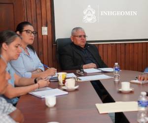 El Instituto Hondureño de Geología y Minas (Inhgeomin) avanza en el proceso de legalización de la minería artesanal en el país.
