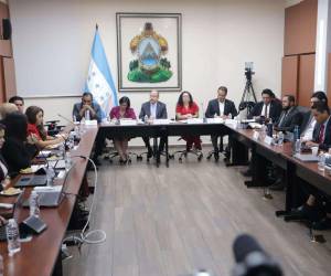 En el segundo día de socialización de la ley participaron el Cespad y la Ahiba, hoy fueron convocadas las Cámaras de Comercio de Islas de la Bahía y Choluteca.