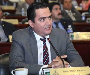 Mario Pérez, diputado de la bancada del Partido Nacional, durante una sesión en el Congreso Nacional en 2023.