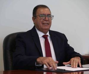 Fredis Cerrato, titular de la Secretaría de Desarrollo Económico (SDE).