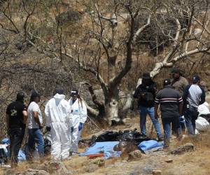 Peritos forenses trabajan con varias bolsas de restos humanos extraídos del fondo de una quebrada por un helicóptero, los cuales fueron abandonados en la comunidad Mirador Escondido en Zapopan, estado de Jalisco, México el 31 de mayo de 2023.