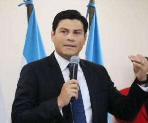 Marlon Ochoa, consejero del Consejo Nacional Electoral (CNE).