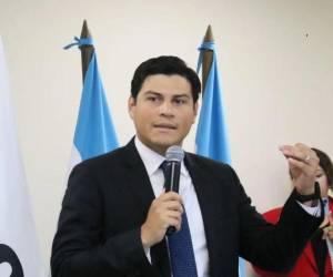 El 9 de abril de 2026, el Congreso Nacional admitió la denuncia de juicio político contra Ochoa y otros funcionarios vinculados a órganos electorales.