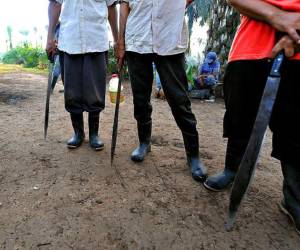 Según el personal de la finca, los guardias no portaban armas, mientras que los campesinos iban fuertemente armados.