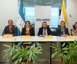 Los siete miembros de la JDU ahora tienen el desafío de decidir entre las exigencias de los políticos, la legalidad y meritocracia para elegir al mejor candidato para rector de la UNAH.