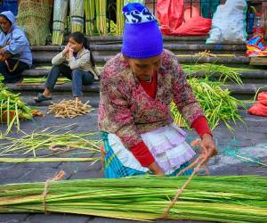 Centenares de campesinos hondureños se concentraron en los accesos de los templos católicos de las principales ciudades del país para ofrecer ramos y cruces de palma que serán bendecidos el Domingo de Ramos, una tradición que marca el inicio de la Semana Santa y aporta ingresos a familias.
