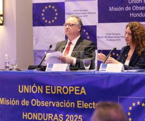 La MOE-UE destacó que la jornada electoral transcurrió en términos generales de forma pacífica y con una participación significativa de la ciudadanía.