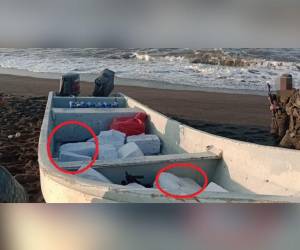 Imagen de referencia.