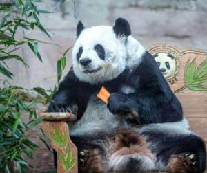 Lin Hui tenía 21 años e iba a ser devuelta a China en el mes de octubre.