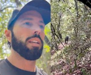 En la imagen se puede ver a un oso negro que va varios metros atrás del famoso.