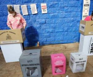 De marzo a diciembre, el CNE desarrollará el plan preelectoral.