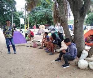 La mayoría de los migrantes son de Venezuela, posteriormente, ingresan de Colombia, Ecuador, Haití, entre otros.