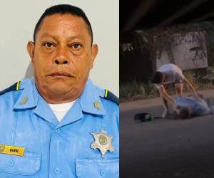 Un agente de la Policía Nacional murió tras ser atropellado por el conductor de un vehículo que circulaba a exceso de velocidad. Estos son los detalles.