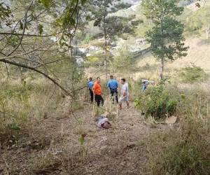 De acuerdo a testigos el automotor “voló” por el abismo hasta caer en el hondonada varios metros abajo de la carretera.