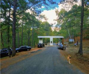 Desde el domingo 29 de marzo, el emblemático Parque Obrero regresó como un destino recreativo seguro y atractivo para familias hondureñas y visitantes. Aquí, las imágenes de la renovación del establecimiento: